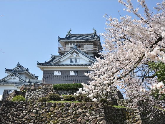 越前大野城02