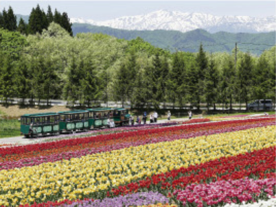 「霊峰白山を望む」