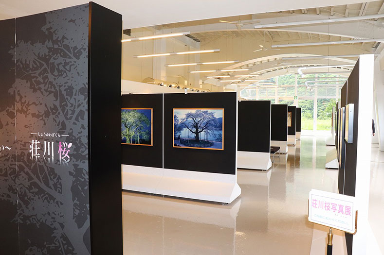 道IBOROダムサイドパーク御母衣電力館・荘川桜記念館