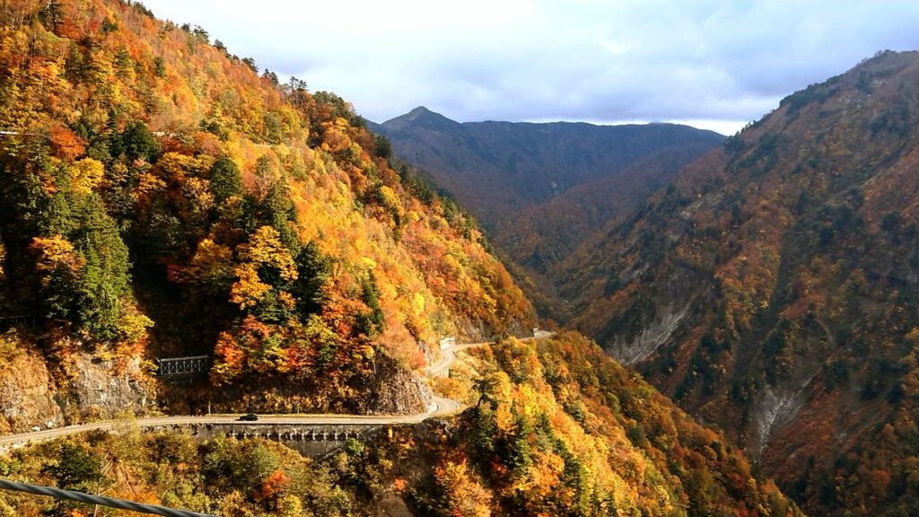 白山白川郷ホワイトロードの紅葉