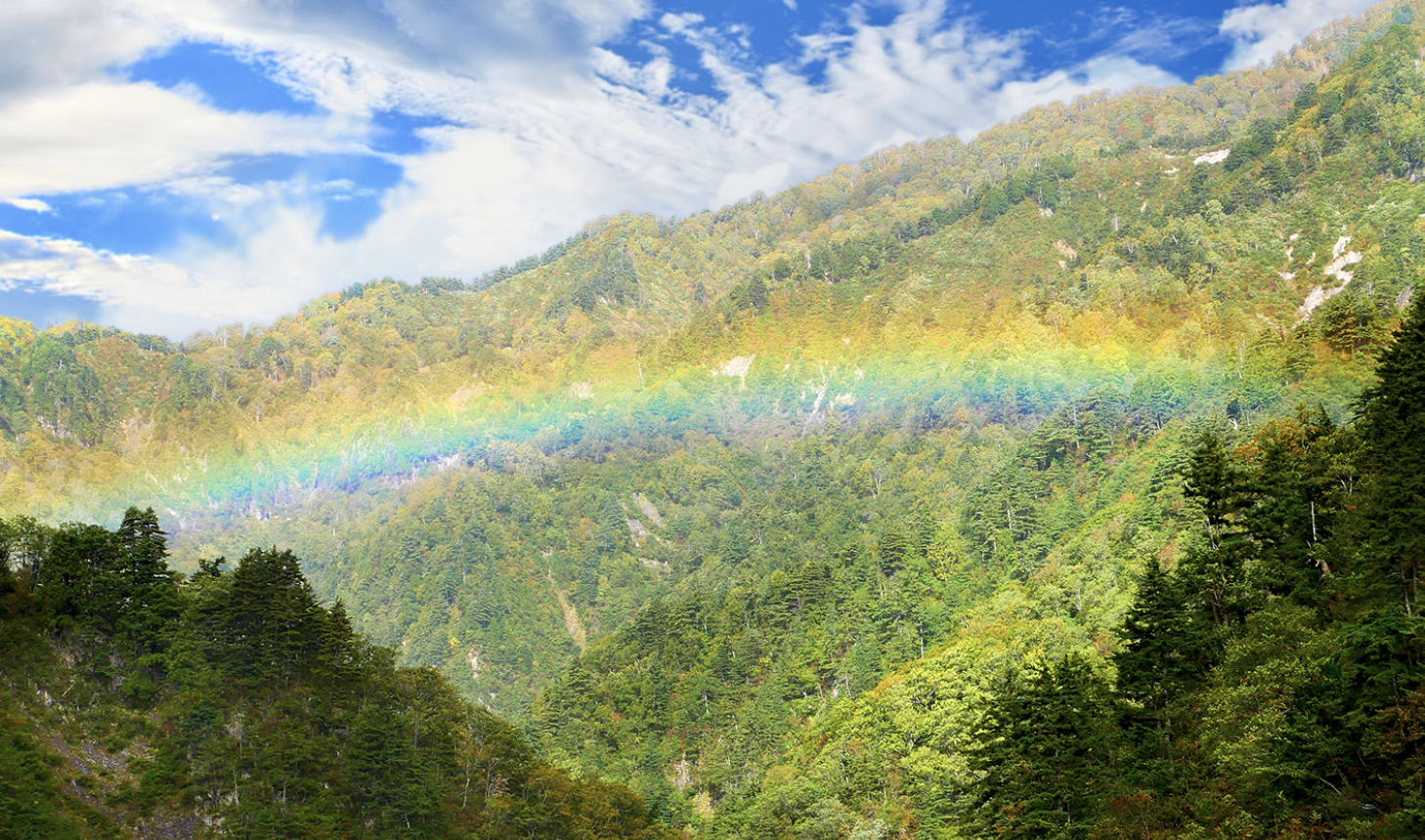 【金沢発】一泊二日女子旅絶景ドライブコース｜白山・鶴来＆郡上八幡を満喫！